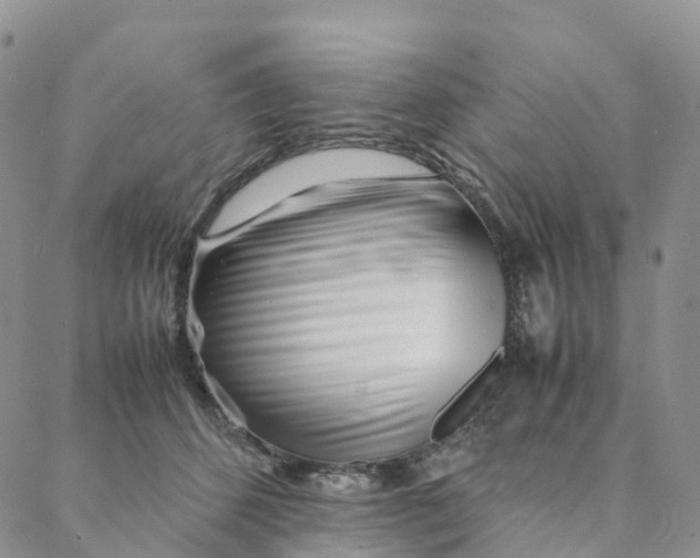 X0000088360512200706121058