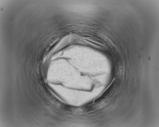 X0000088360513200706121058