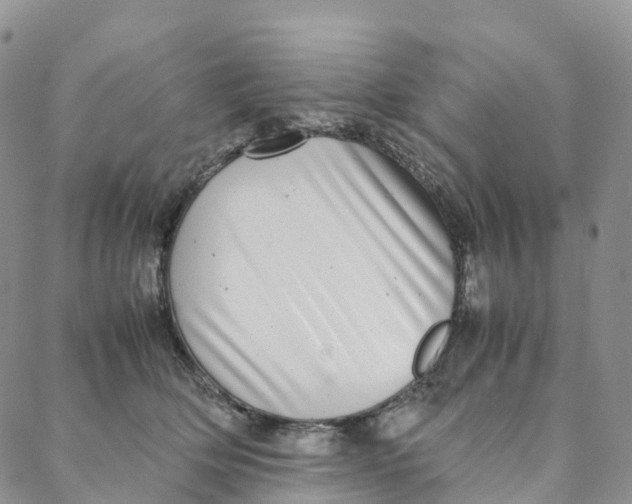 X0000088360514200706121058