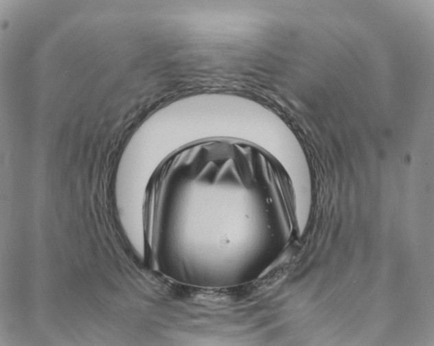 X0000088360515200706121058