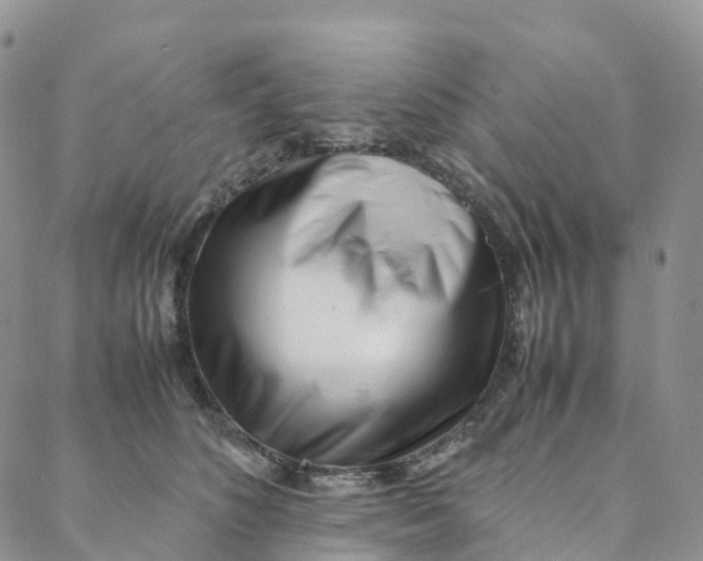 X0000088360516200706121058