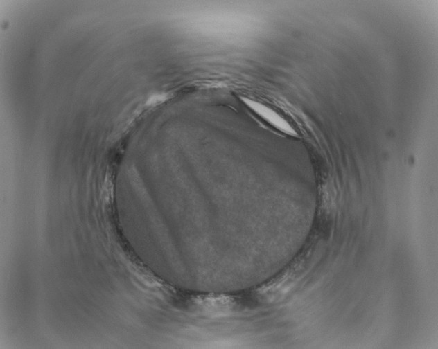 X0000088360517200706121058