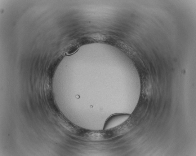 X0000088360518200706121058