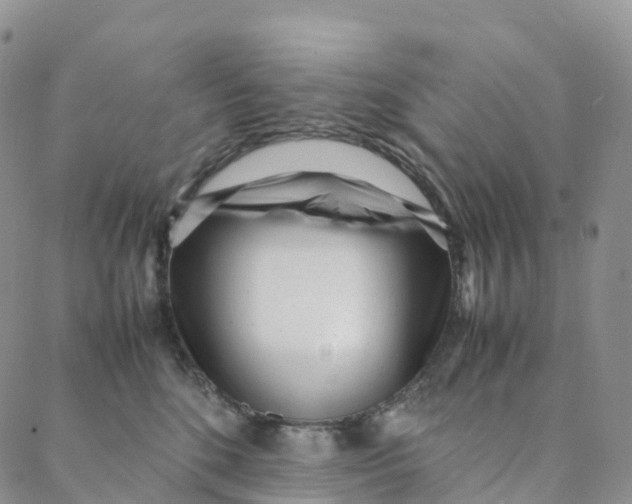 X0000088360520200706121058