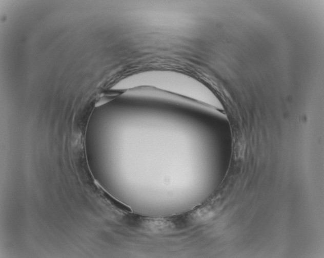 X0000088360521200706121058