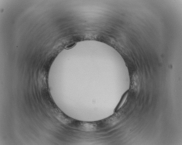 X0000088360522200706121058