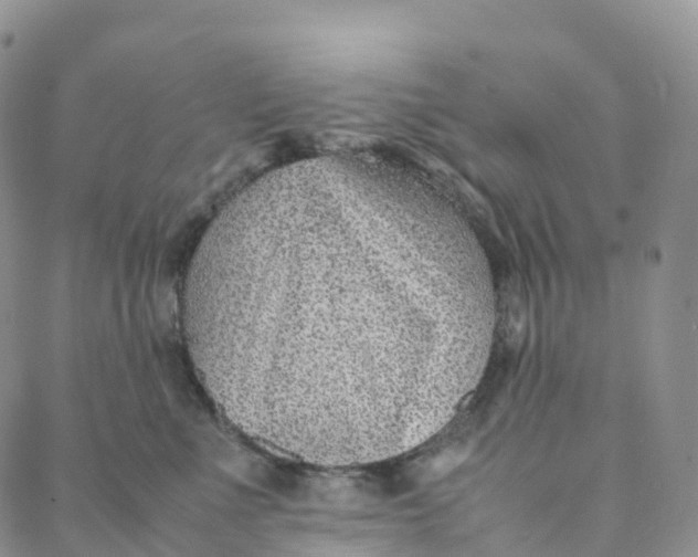 X0000088360523200706121058