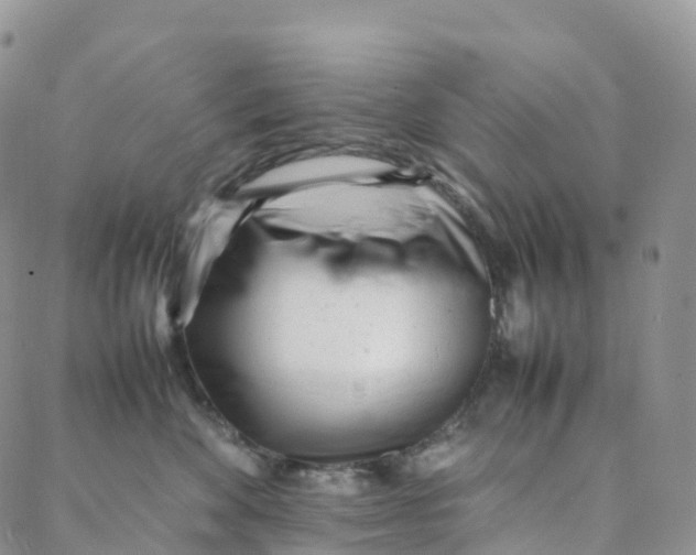 X0000088360524200706121058