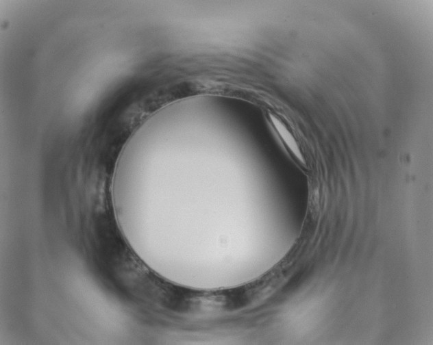 X0000088360525200706121058