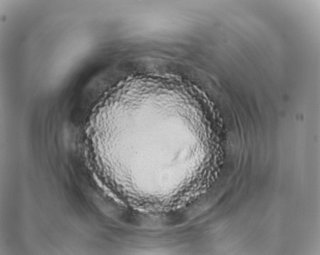 X0000088360527200706121058