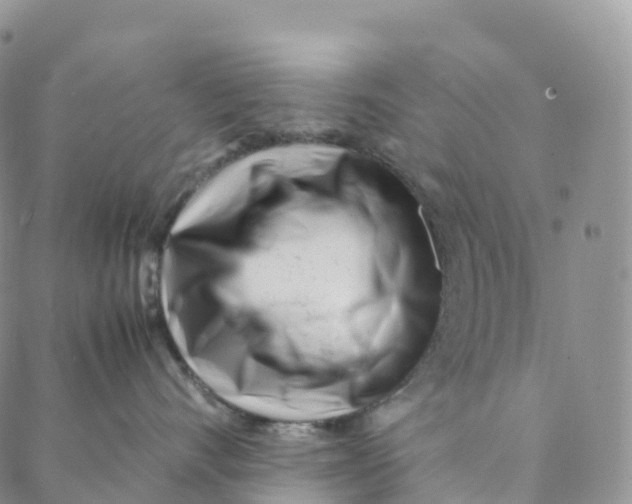 X0000088360528200706121058