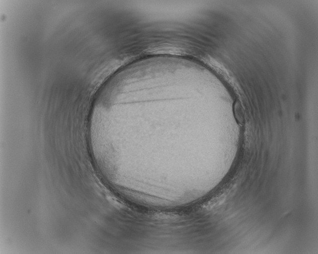 X0000088360529200706121057