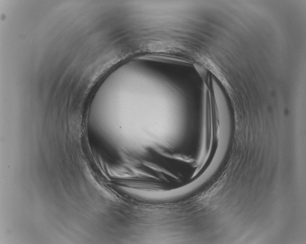 X0000088360530200706121057