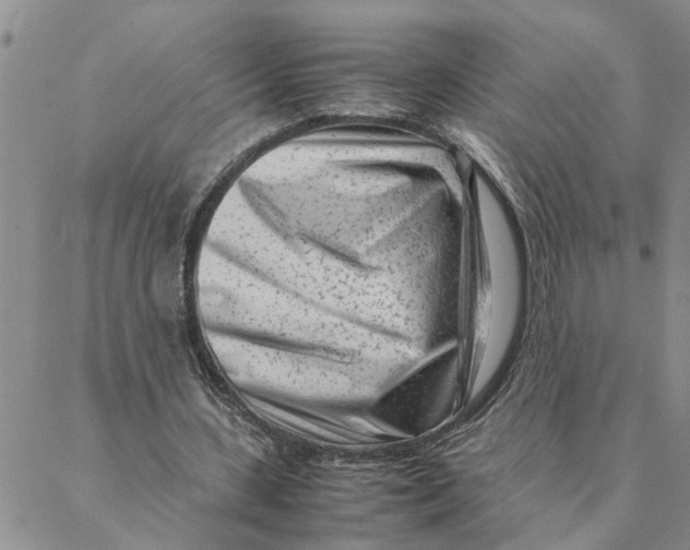 X0000088360531200706121057