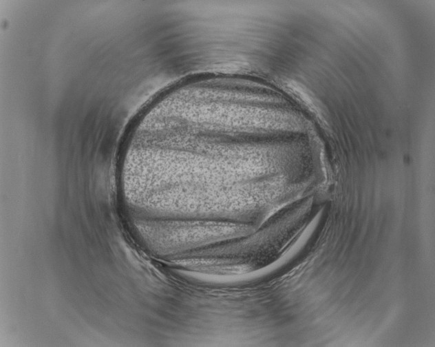 X0000088360532200706121057