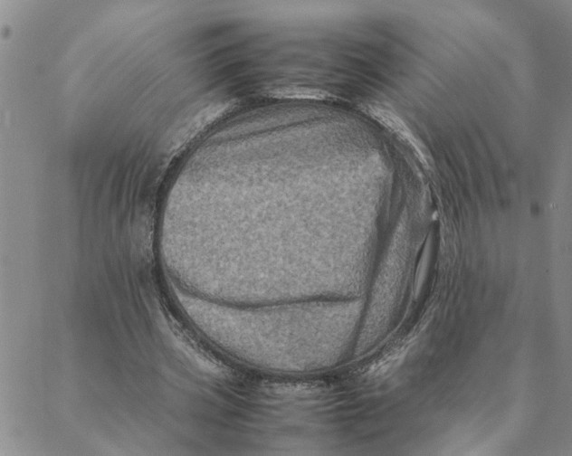 X0000088360533200706121057