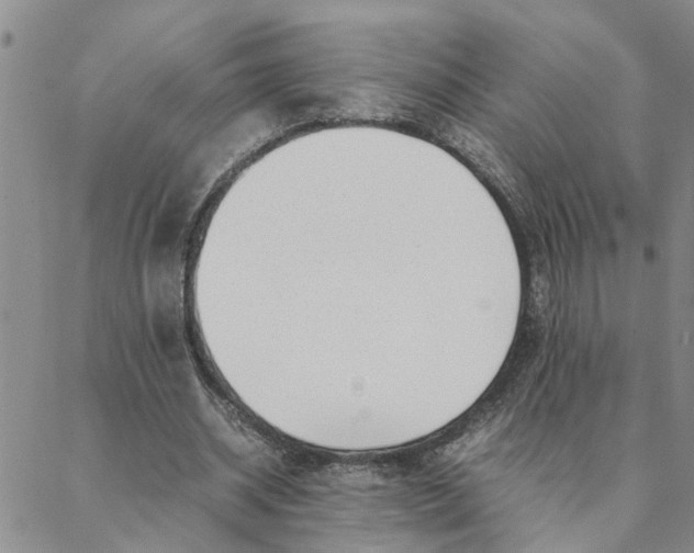 X0000088360534200706121057