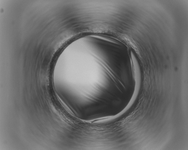 X0000088360536200706121057