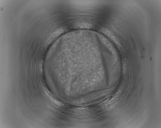 X0000088360537200706121057