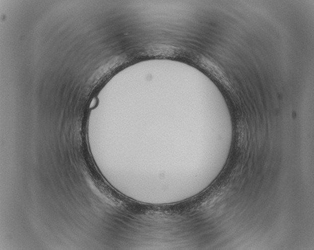 X0000088360538200706121057