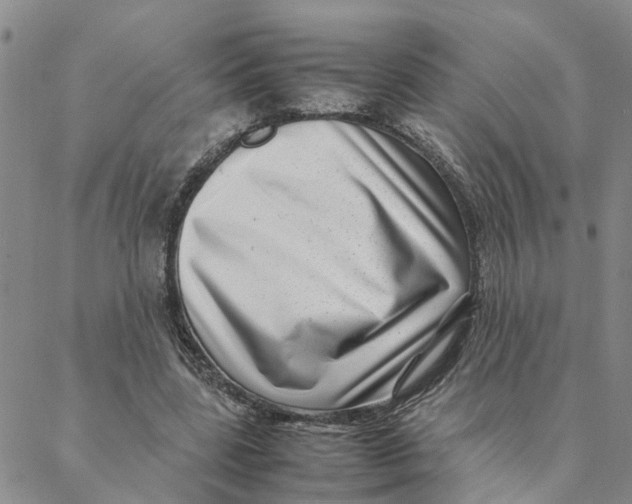 X0000088360539200706121057