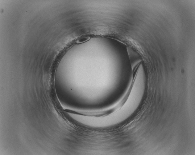 X0000088360540200706121057