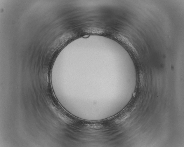 X0000088360541200706121057