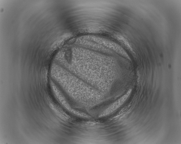 X0000088360542200706121057