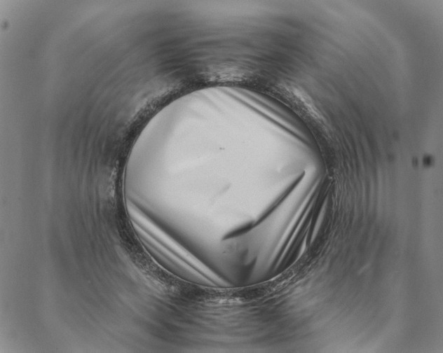 X0000088360543200706121057