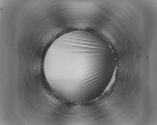 X0000088360544200706121057