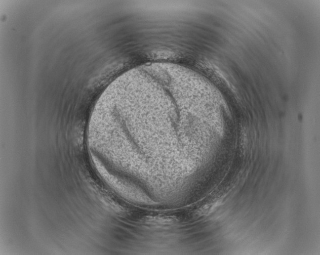 X0000088360545200706121057