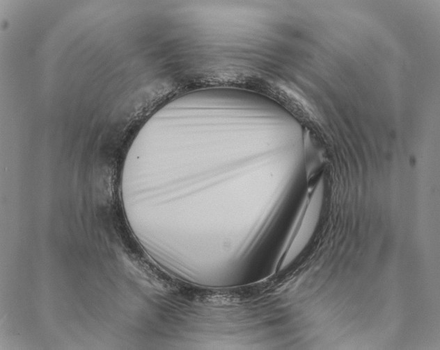 X0000088360546200706121058