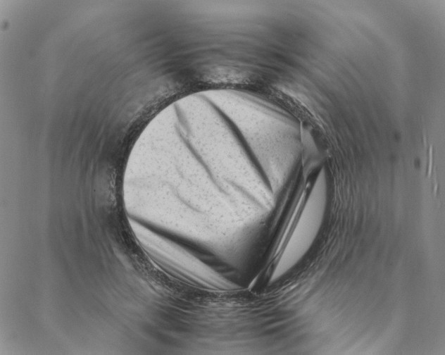 X0000088360547200706121058