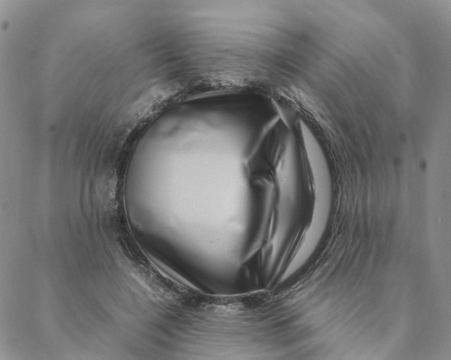 X0000088360548200706121058