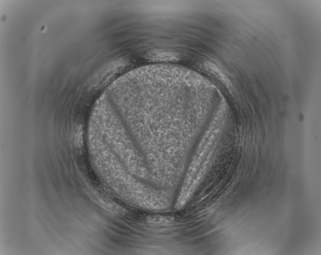 X0000088360549200706121058