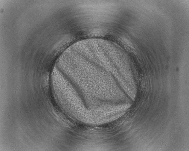 X0000088360550200706121058