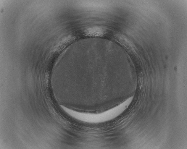 X0000088360551200706121058