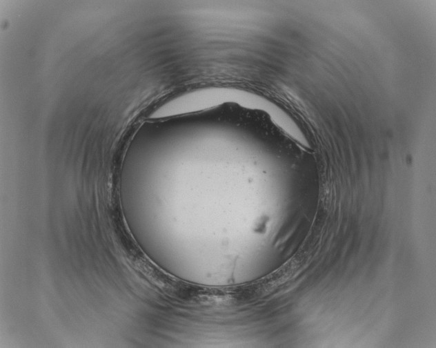 X0000088360552200706121058