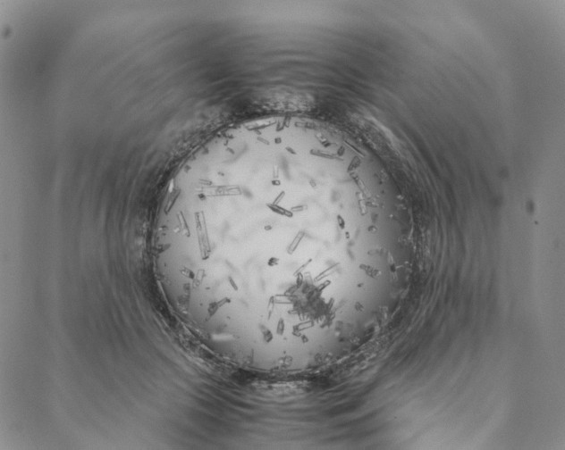 X0000088360553200706121058