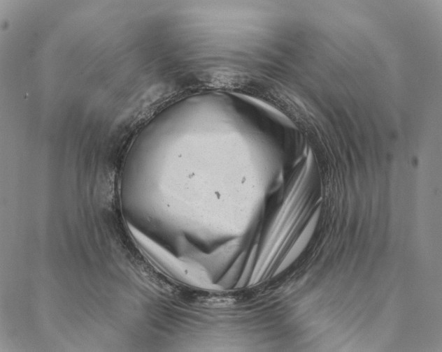 X0000088360554200706121058