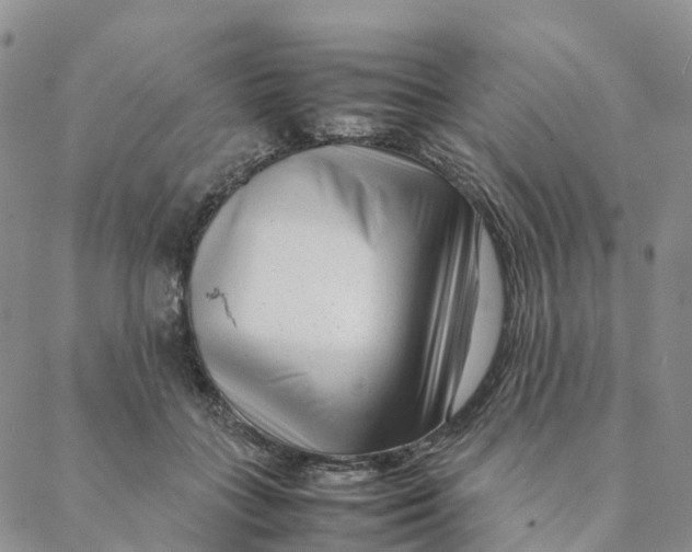 X0000088360555200706121058