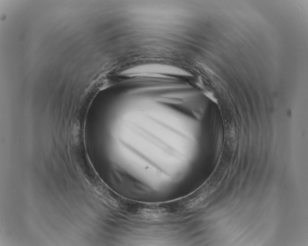 X0000088360556200706121058