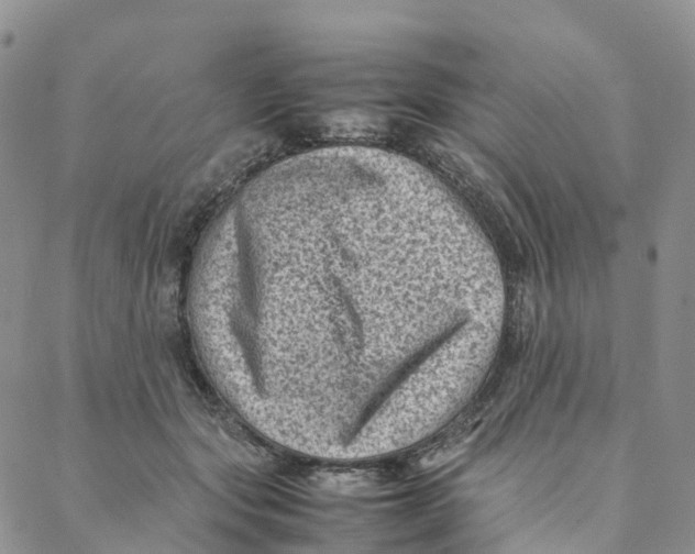 X0000088360557200706121058