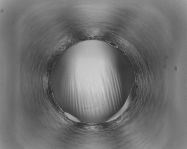 X0000088360558200706121058