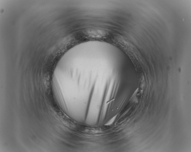 X0000088360559200706121058