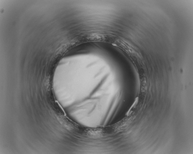 X0000088360560200706121058