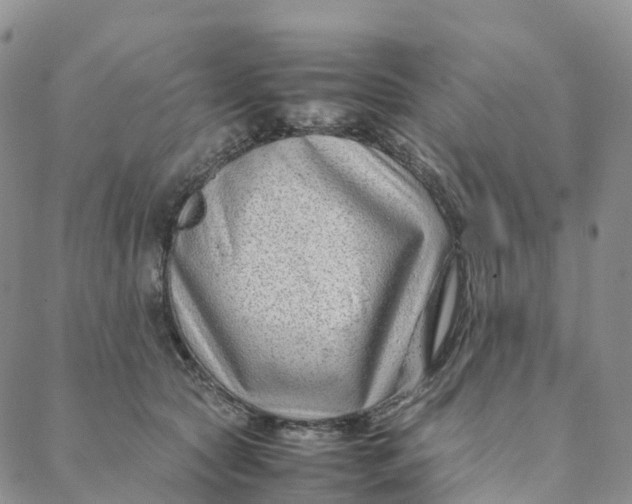 X0000088360561200706121058