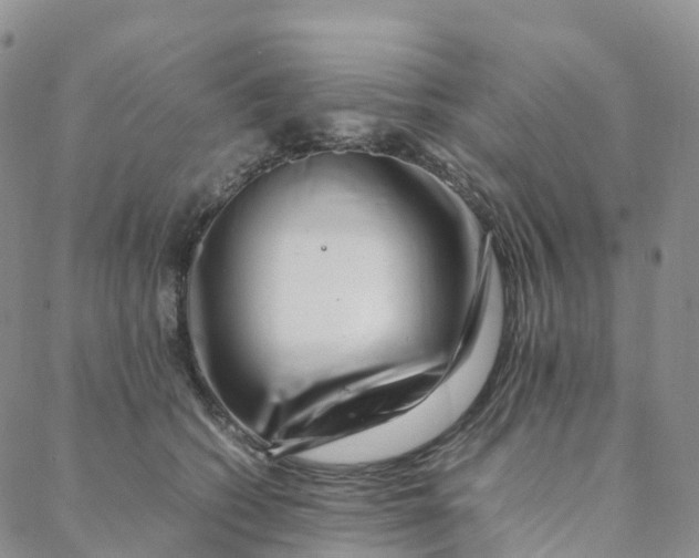 X0000088360562200706121058