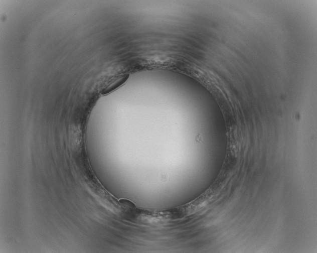 X0000088360563200706121058