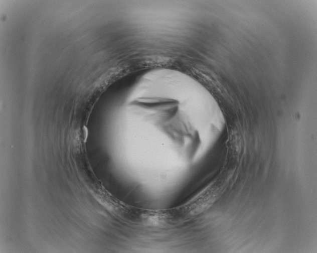 X0000088360564200706121058